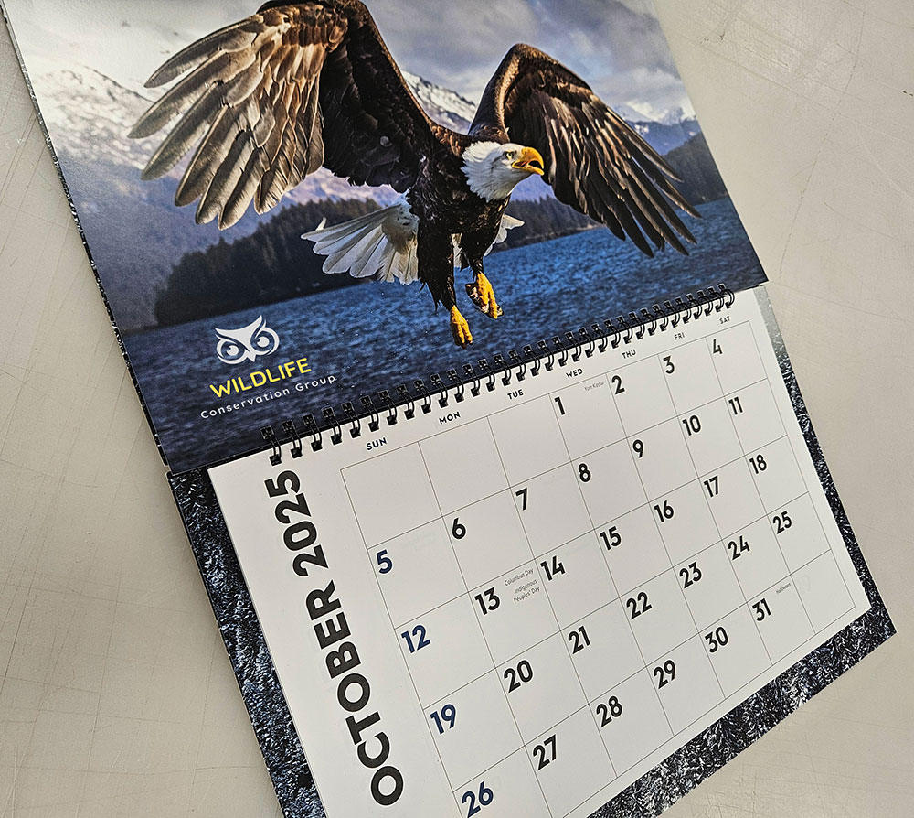 Custom Printed Calendar